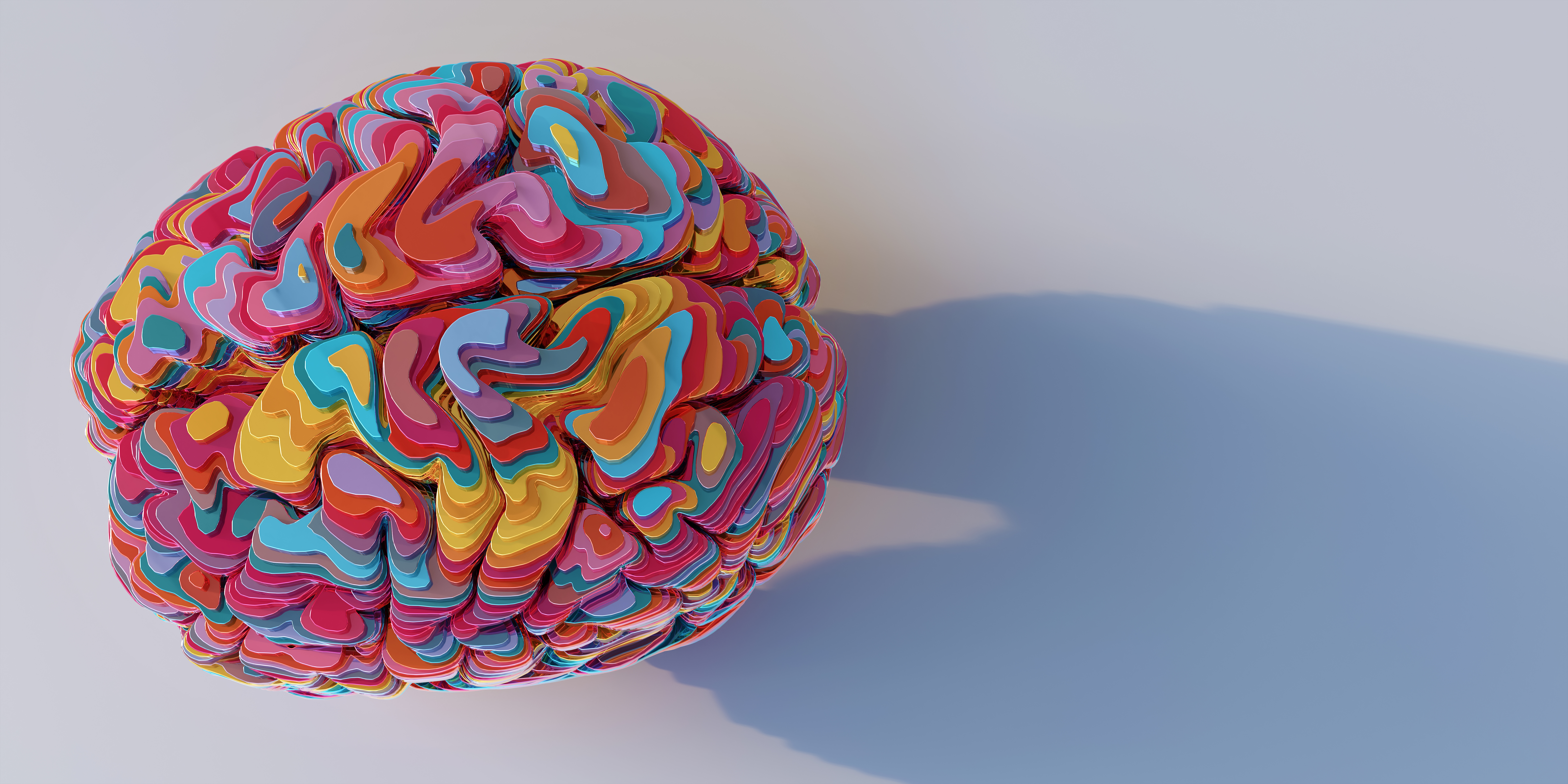 Graphic image of a human brain resting on a surface. Each section of the brain is a shown in a different colour, giving a multi-colour to it as a whole.