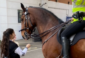 Student stood next to a horse and rider at a Met Police event